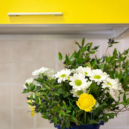 Simona Giardino Apartament Fetovaia